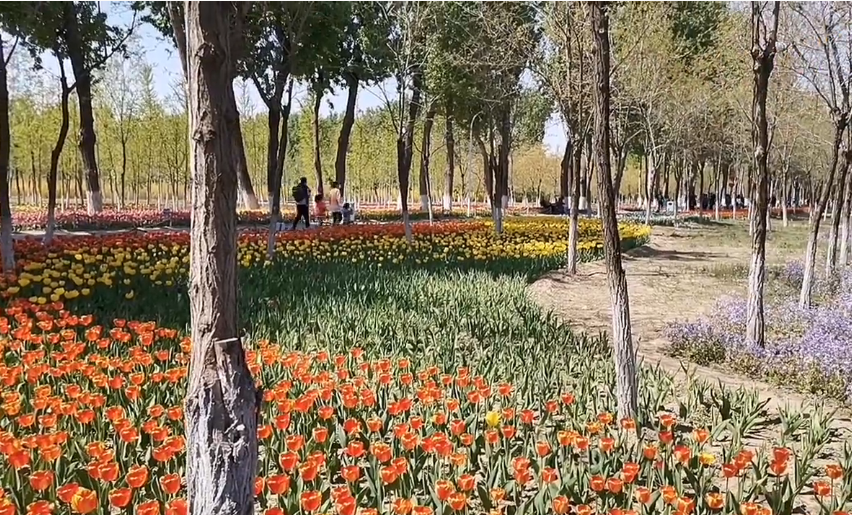 北京旅游景点:绿色港湾农场1