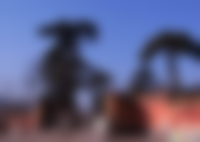 北京旅游景点:故宫梵宗楼1