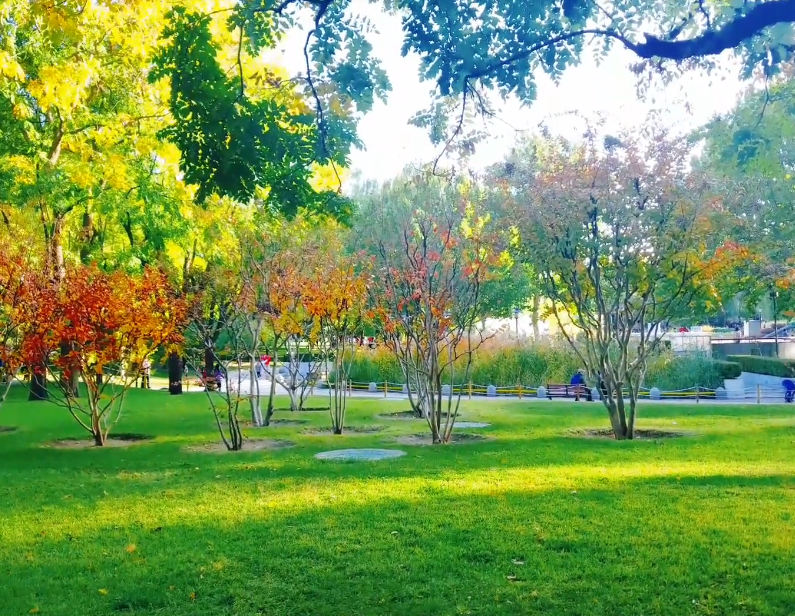 北京旅游景点:北二环城市公园1