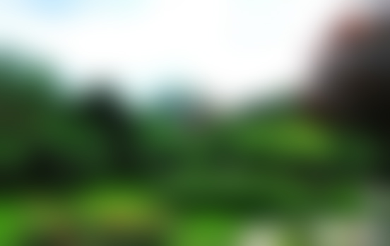 北京旅游景点:碧水风荷公园1