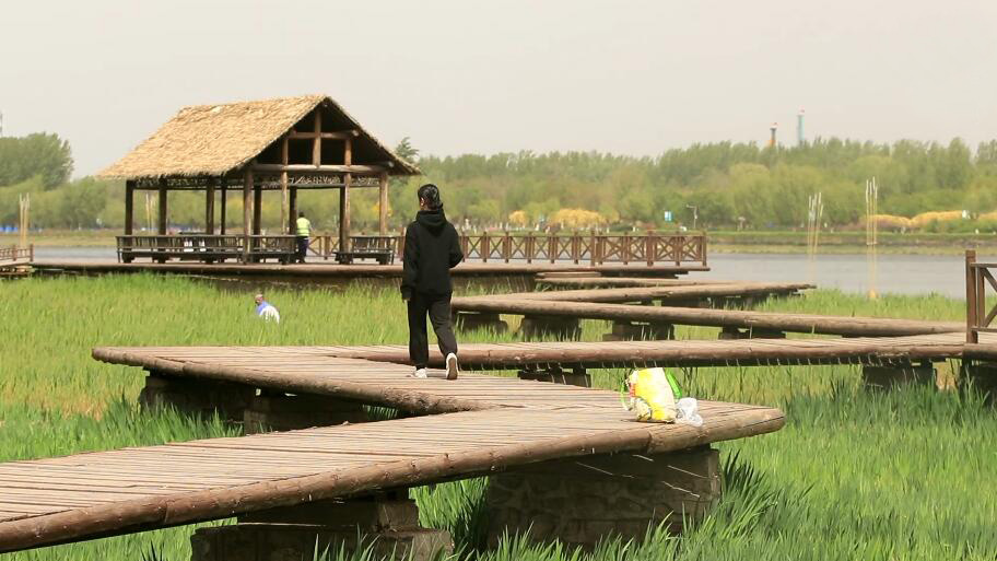 北京旅游景点:通州东关大桥运河森林公园1