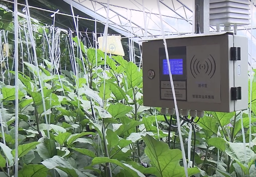 北京旅游景点:蓝湖庄园1