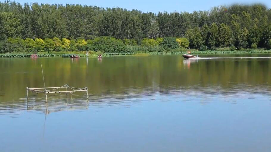 北京旅游景点:杨镇汉石桥湿地1