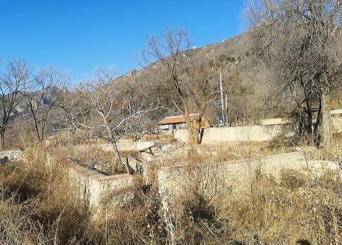 北京旅游景点:熊儿寨三羊古火山1