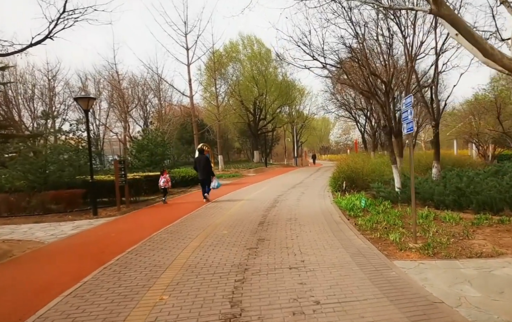 北京旅游景点:古桑森林公园1