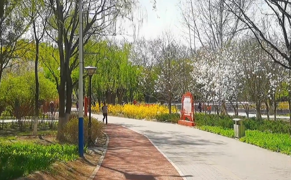 北京旅游景点:大兴滨河森林公园1