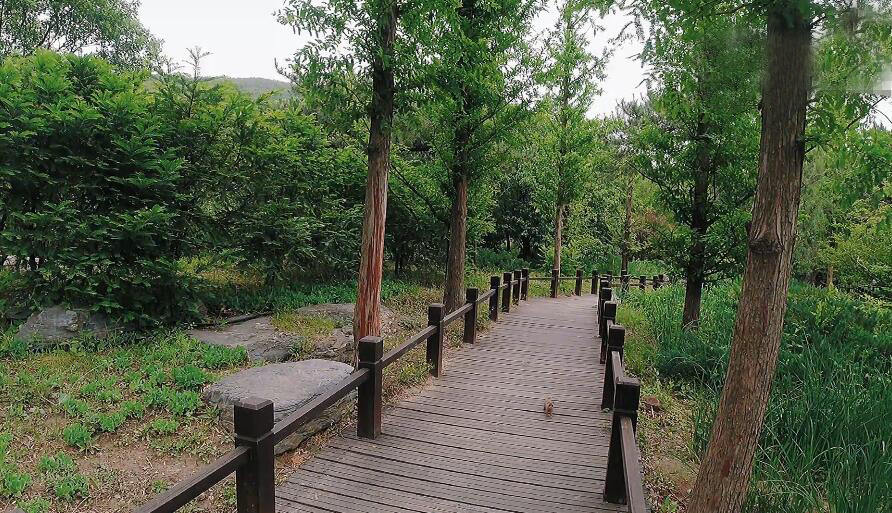 北京旅游景点:南三环万芳亭公园1