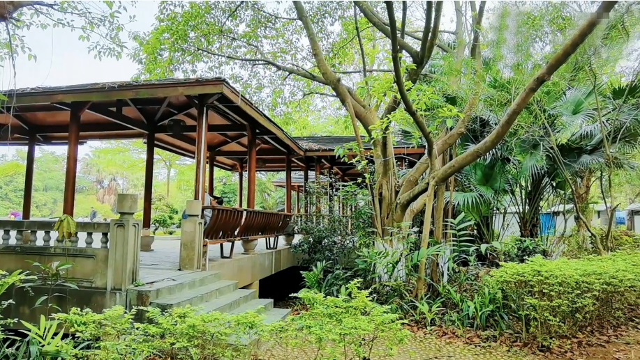 北京旅游景点:大庄科莲花山森林公园1