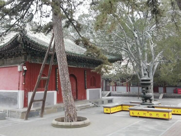 北京旅游景点:戒台寺地藏殿1