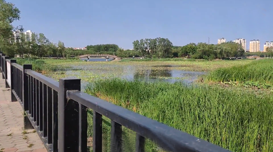 北京旅游景点:新城滨河森林公园1