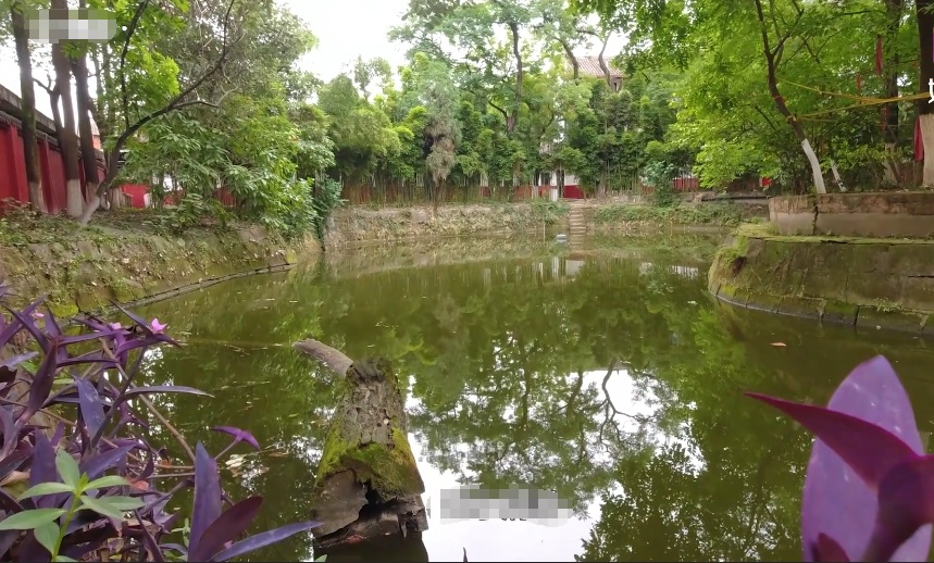 北京旅游景点:黄村星明湖度假村1