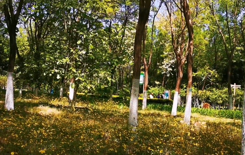 北京旅游景点:西毓顺公园1