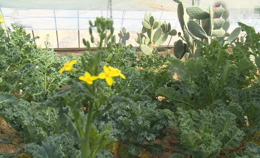 北京旅游景点:来广营清河营郊野公园1