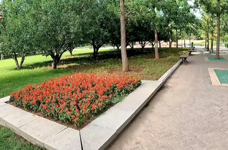 北京旅游景点:丰益公园1