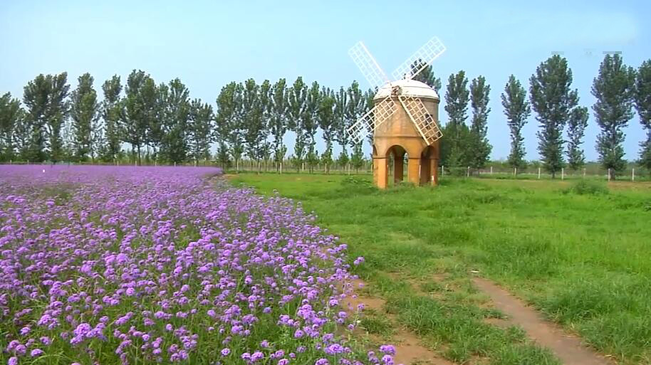 北京旅游景点:故宫碧螺亭1