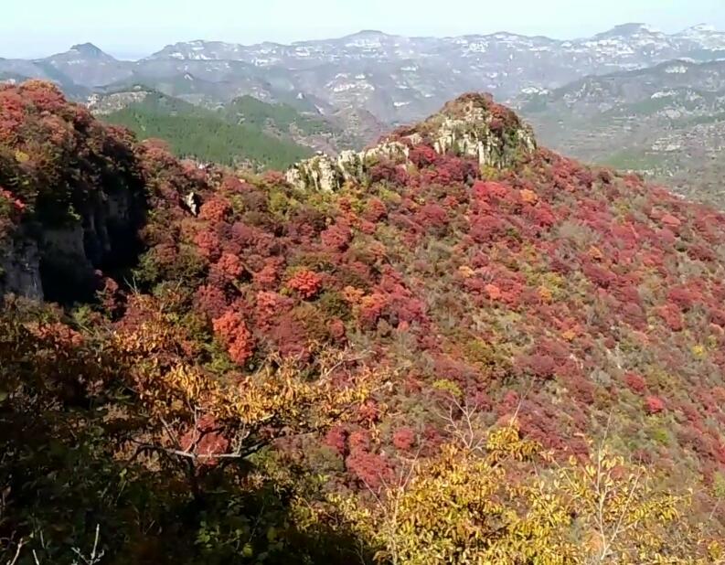 北京旅游景点:锯齿崖公园1