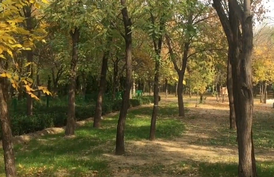 北京旅游景点:三营门公园1