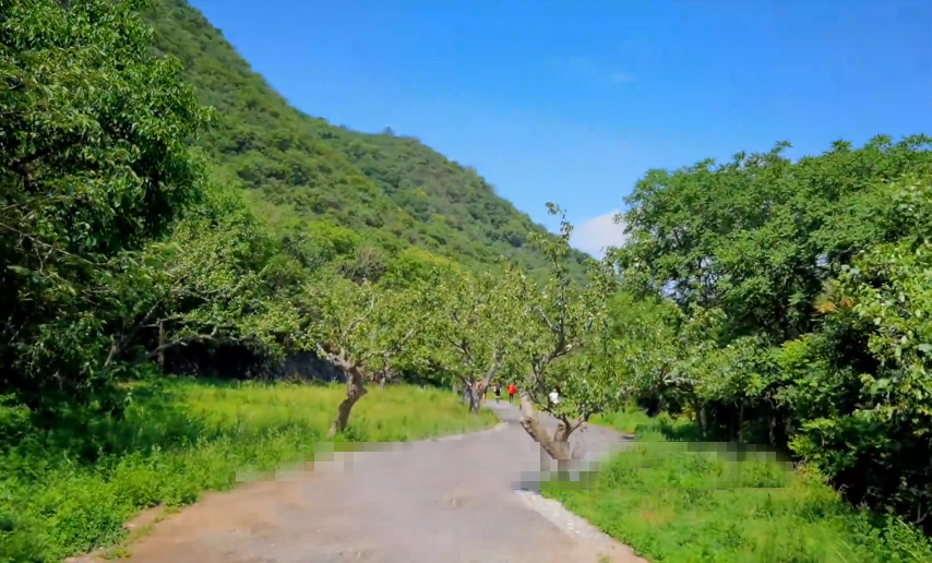 北京旅游景点:东山贡梨园1