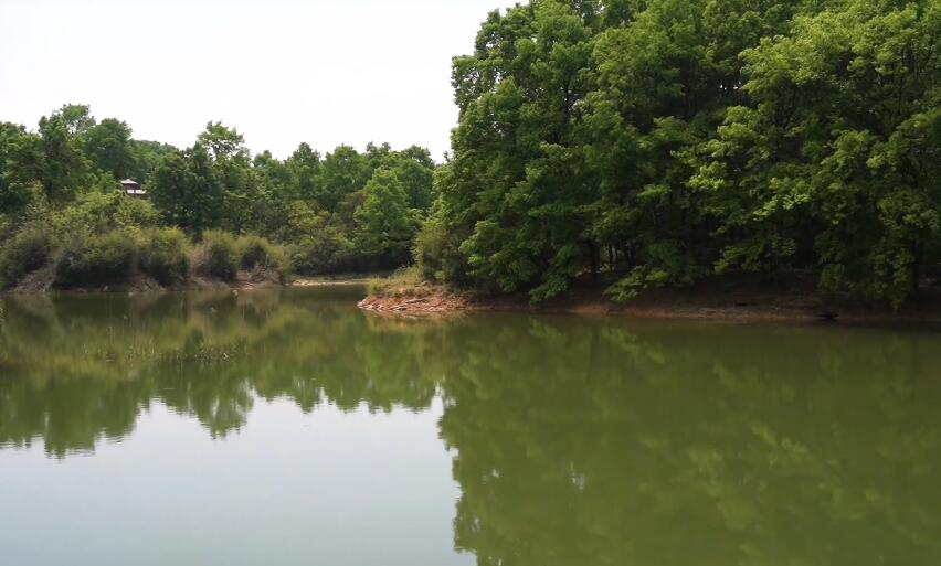 北京旅游景点:北京鳄鱼湖公园(神州爱犬乐园)1