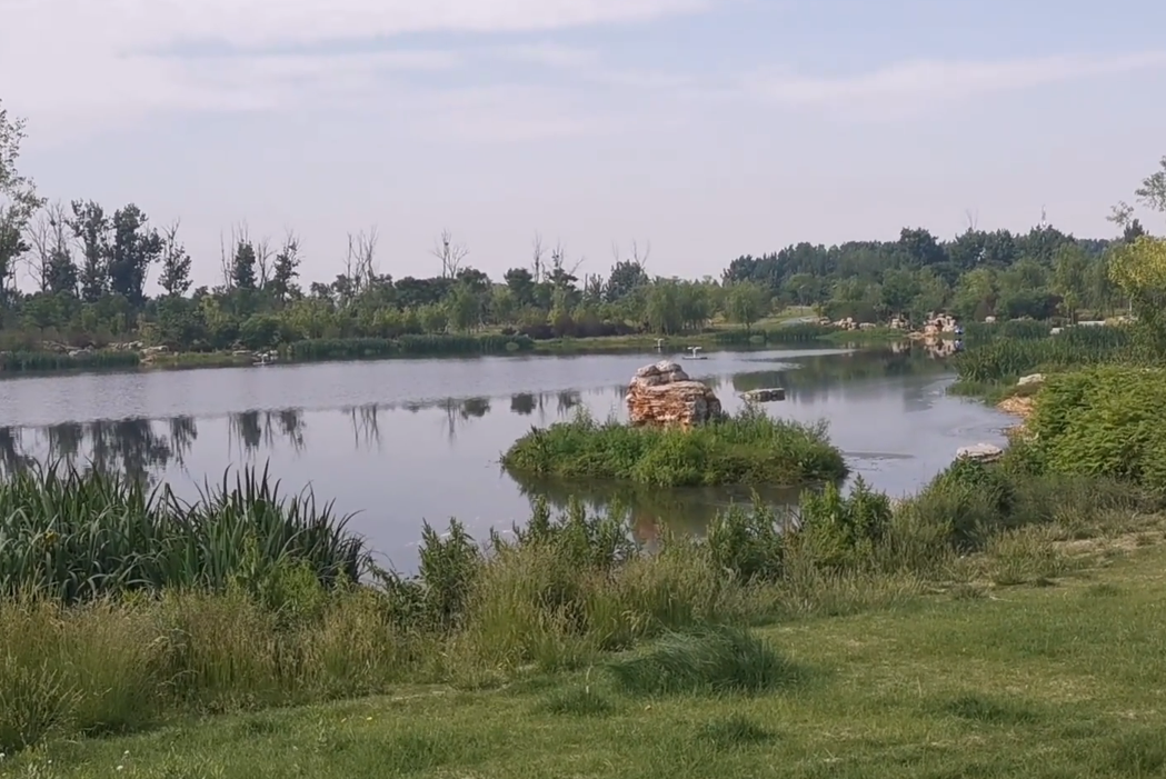 北京旅游景点:新西凤渠湿地公园1