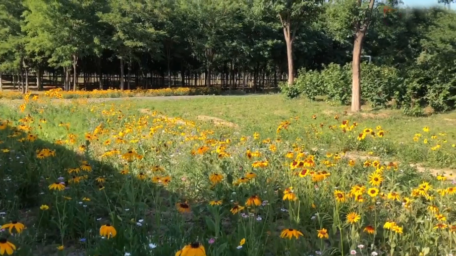 北京旅游景点:马栏村1