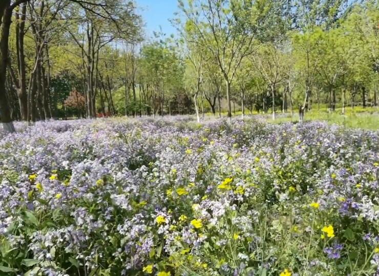 北京旅游景点:故宫南三所景区1