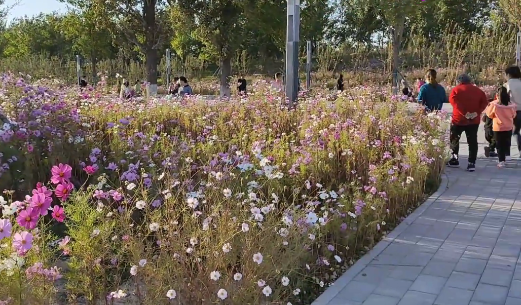 北京旅游景点:狼垡城市森林公园1