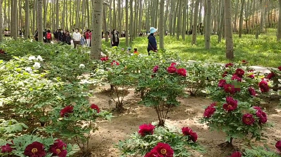 北京旅游景点:仁和公园1