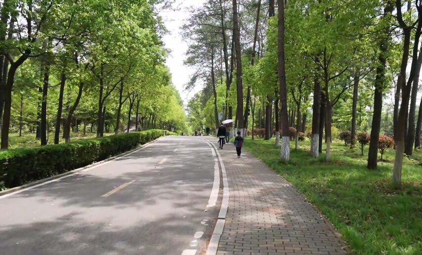 北京旅游景点:榆垡万亩森林公园(野生动物园)1