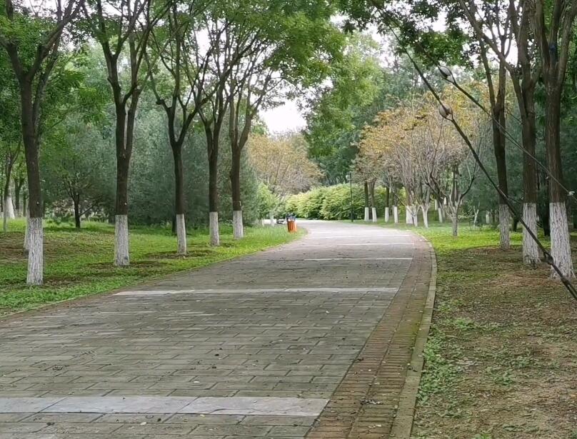 北京旅游景点:大慧寺(大佛寺)1