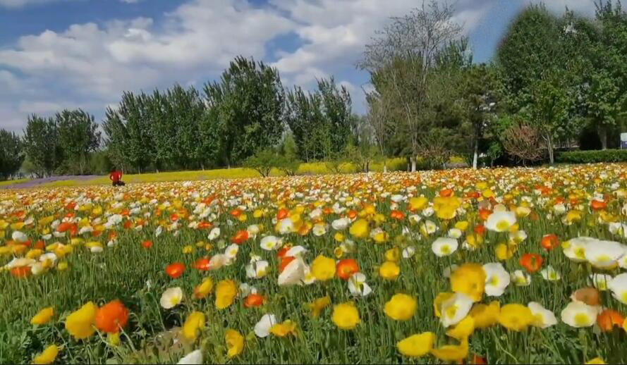 北京旅游景点:永定河紫谷伊甸园1