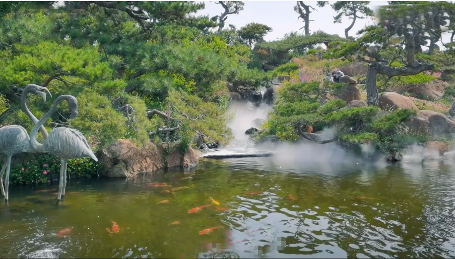 北京旅游景点:罗红摄影艺术馆1