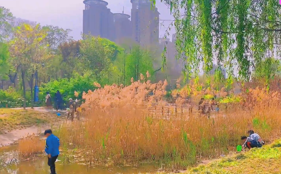 北京旅游景点:世纪森林公园1