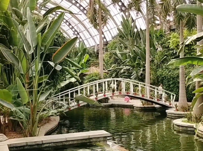 热带植物观光园游玩攻略1