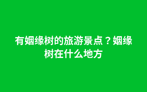炎陵有哪些景点？炎陵有哪些景点介绍1