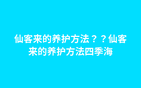 仙客来的养护方法??仙客来的养护方法四季海1
