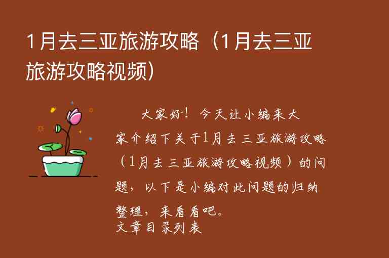 1月去三亚旅游攻略（1月去三亚旅游攻略视频）1