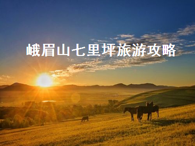 峨眉山七里坪旅游攻略(峨眉山七里坪旅游攻略及费用)2