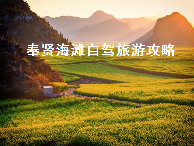 奉贤海滩自驾旅游攻略(奉贤海滩游玩攻略)2