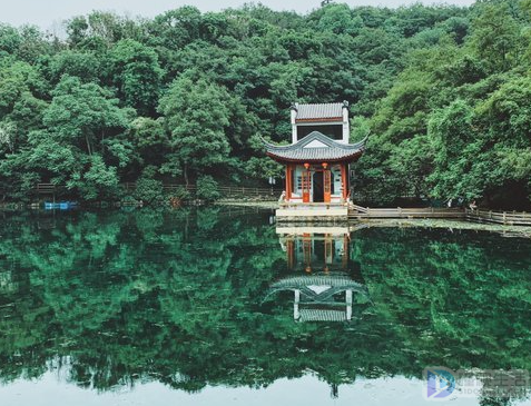 推进文化和旅游深度融合,努力实现创新发展2