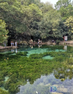 景区利用最新一代信息技术,建设智慧旅游景区2