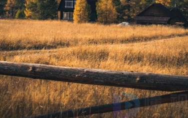 陕西入驻Tripadvisor 向世界展示中国特色旅游文化4