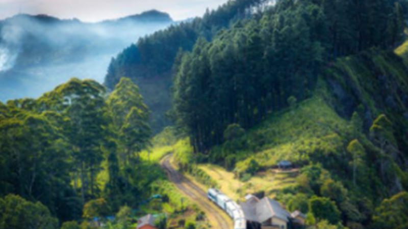 山东省在线旅游开门红 首月旅游订单量上涨31%1