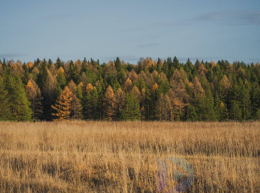 重庆提出12条精准扶持措施 助力文化旅游快速恢复4
