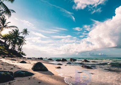 亚特兰蒂斯重启水下寻宝活动 三亚旅游强劲复苏3