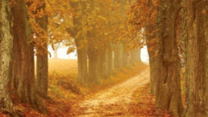 文化和旅游部：高度重视增强智慧旅游发展 规范景区智能管理1