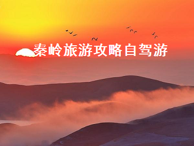 秦岭旅游攻略自驾游(秦岭旅游攻略自驾游一日游)2