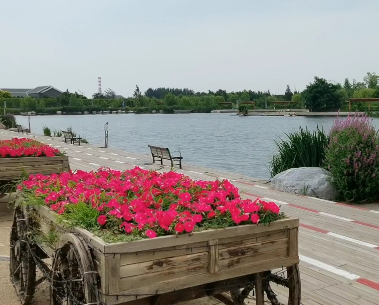 锦州锦州世博园游玩攻略3