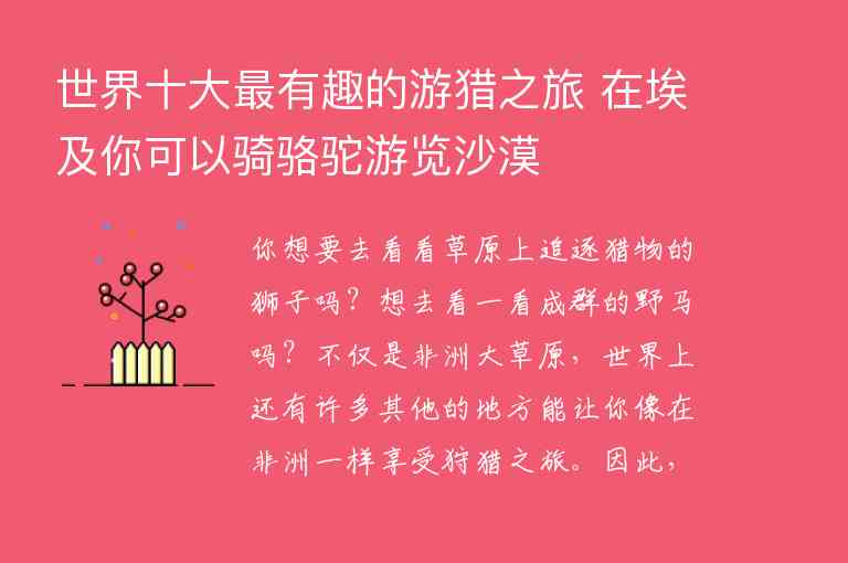 长白山旅游攻略三日游是从北坡上还是西坡上三日游有什么建议吗1