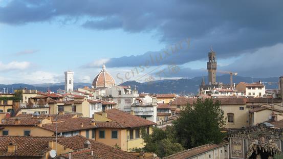 献上佛罗伦萨3天自由行该如何玩5